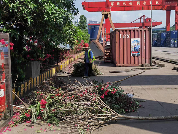 664c09c63555e.jpg mmexport1715935094065.jpg